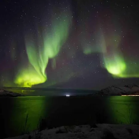 Lejlighed 10th Floor Penthouse In The Heart Of Tromsø